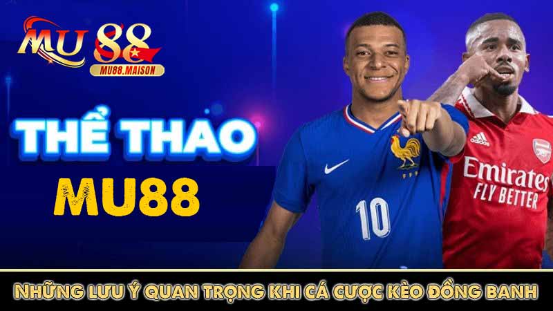 Kèo đồng banh - Mẹo Cược Kiếm Trăm Triệu Từ Cao Thủ 5 những lưu ý quan trọng khi cá cược kèo đồng banh