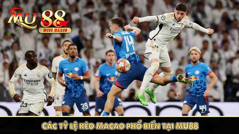 Tỷ Lệ Kèo Macao - Các Hình Thức Cược Và Lợi Ích Cần Biết 11 Các tỷ lệ kèo Macao phổ biến tại MU88