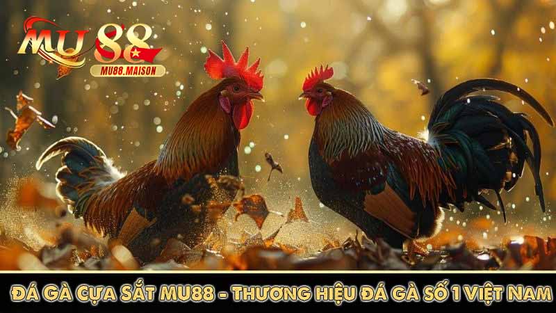 Đá Gà Cựa Sắt MU88 - Thương hiệu đá gà số 1 Việt Nam