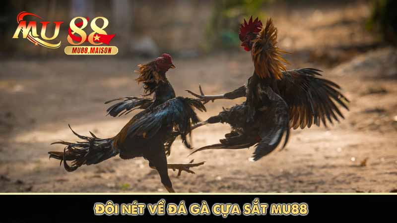 Đá Gà Cựa Sắt MU88 - Thương hiệu đá gà số 1 Việt Nam 9 Đôi nét về đá gà cựa sắt mu88