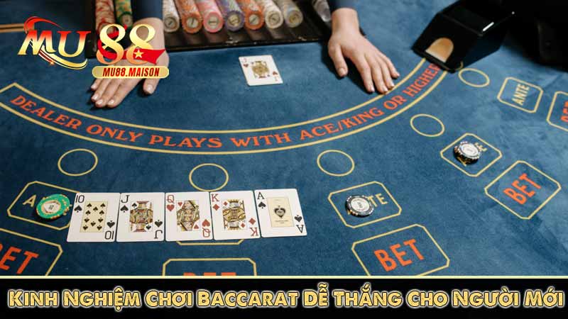 Hướng dẫn cách chơi Baccarat và kinh nghiệm chơi luôn thắng 8 Kinh Nghiệm Chơi Baccarat Dễ Thắng Từ Cao Thủ