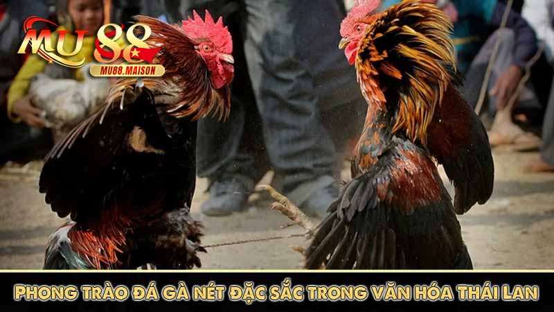 Đá Gà Thái Lan - Những Thông Tin Cần Biết Khi Tham Gia 11 Phong trào đá gà nét đặc sắc trong văn hóa Thái Lan