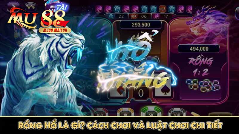 rồng hổ là gì