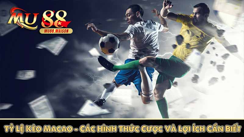 tỷ lệ kèo macao các hình thức cược và lợi ích cần biến