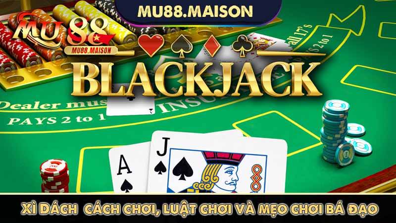 xì dách - cách chơi, luật chơi và mẹo chơi bá đạo